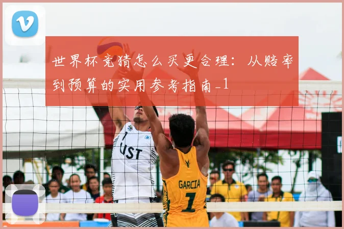 世界杯竞猜怎么买更合理：从赔率到预算的实用参考指南_1
