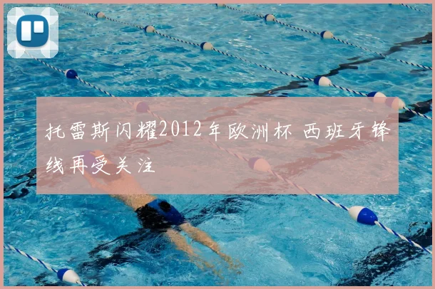 托雷斯闪耀2012年欧洲杯 西班牙锋线再受关注