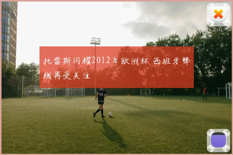 托雷斯闪耀2012年欧洲杯 西班牙锋线再受关注