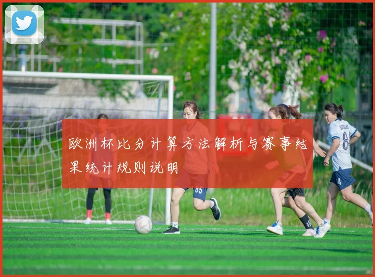 欧洲杯比分计算方法解析与赛事结果统计规则说明