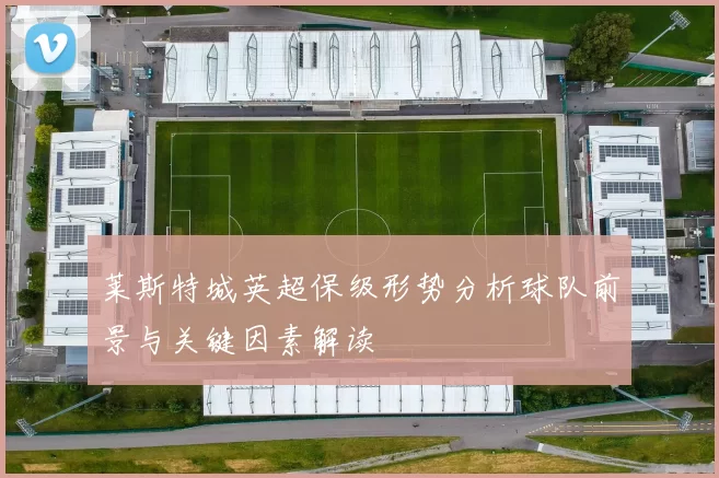 莱斯特城英超保级形势分析球队前景与关键因素解读