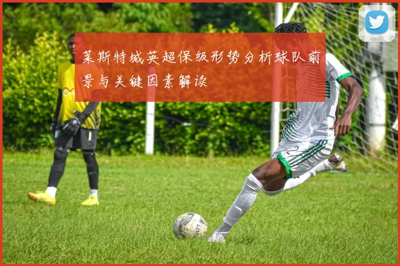 莱斯特城英超保级形势分析球队前景与关键因素解读