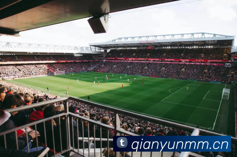 滚球官网appAPP 封面图